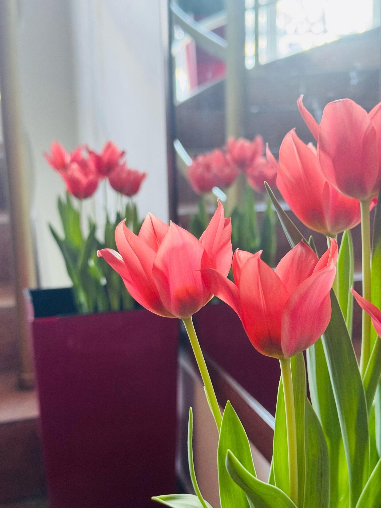 Фото Еловое