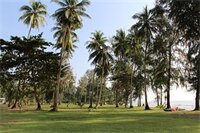 Фото Koh Chang Long Stay Resort