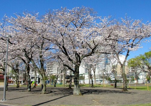 Внешний вид отеля Shizutetsu Hotel Prezio Shizuoka Ekinan в Сидзуоке, фото 4