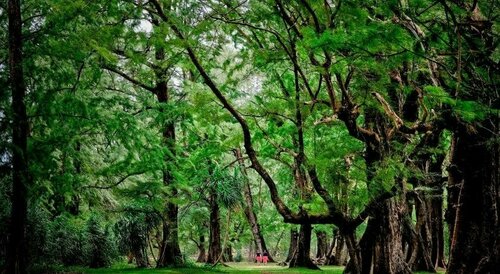 Гостиница Naiyang Park Resort на Пхукете