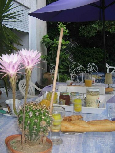 Гостиница Chambres d'Hôtes Béziers в Безье