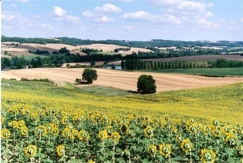 Гостиница Les Celtes de Gascogne в Оше