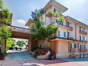 Гостиница Comfort Inn