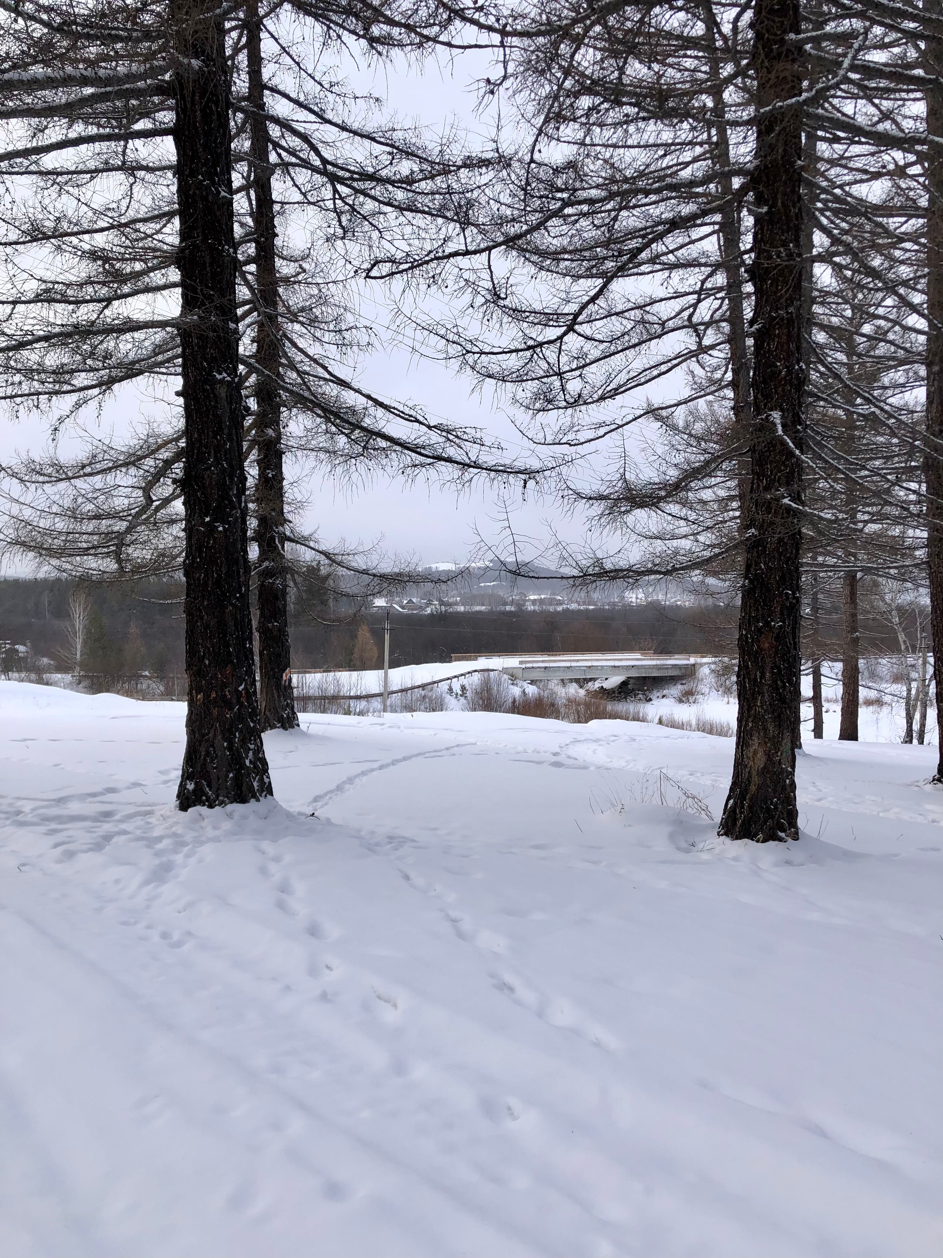 Фото Орленок