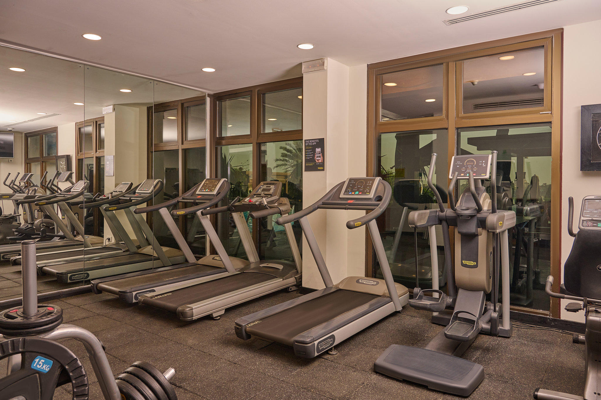 Фото Holiday Inn Cairo Maadi