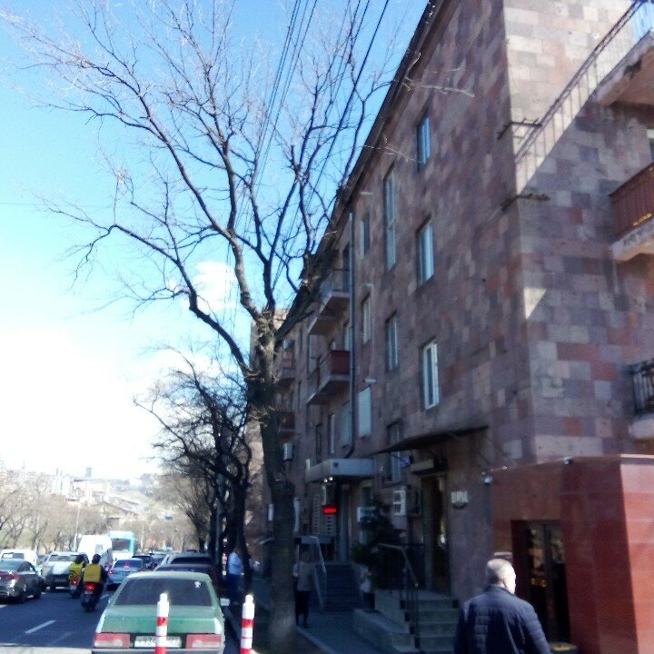 Виктория Ованнисян