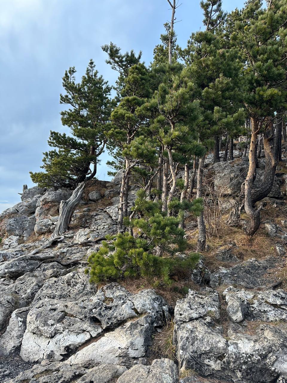 Фото Дом на Широком