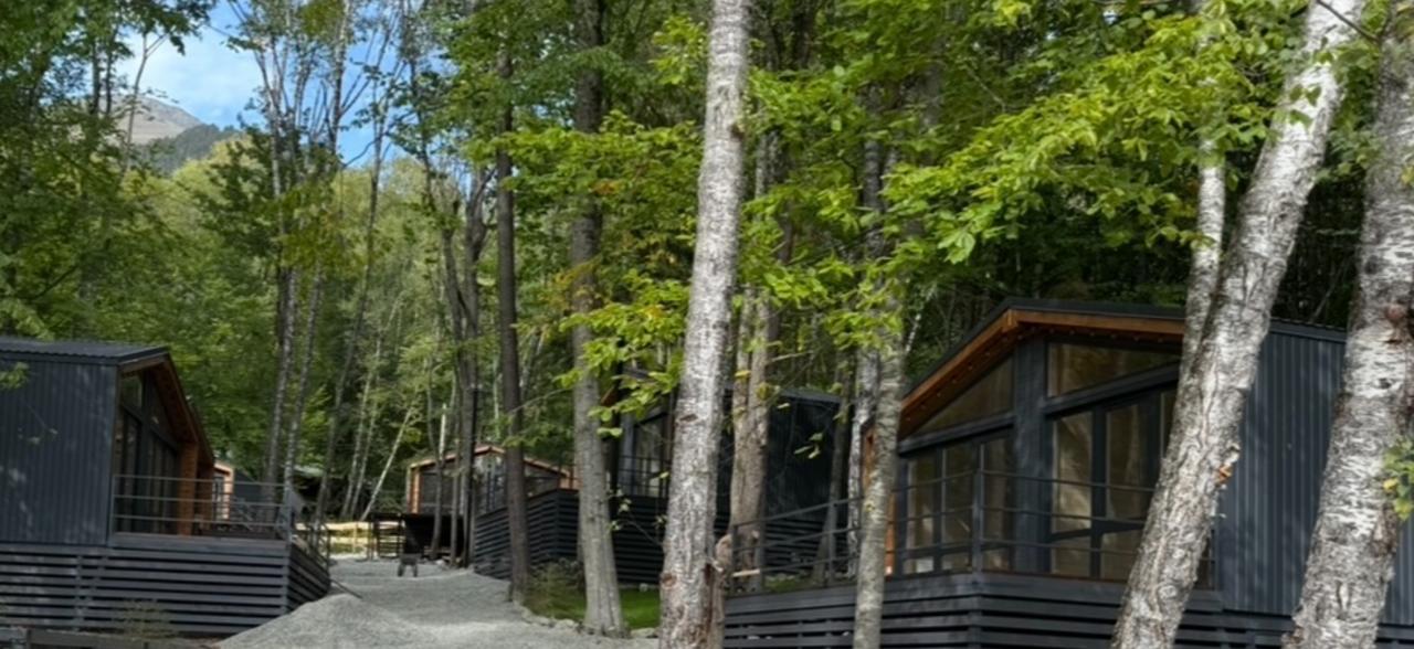 Фото Шёпот Леса