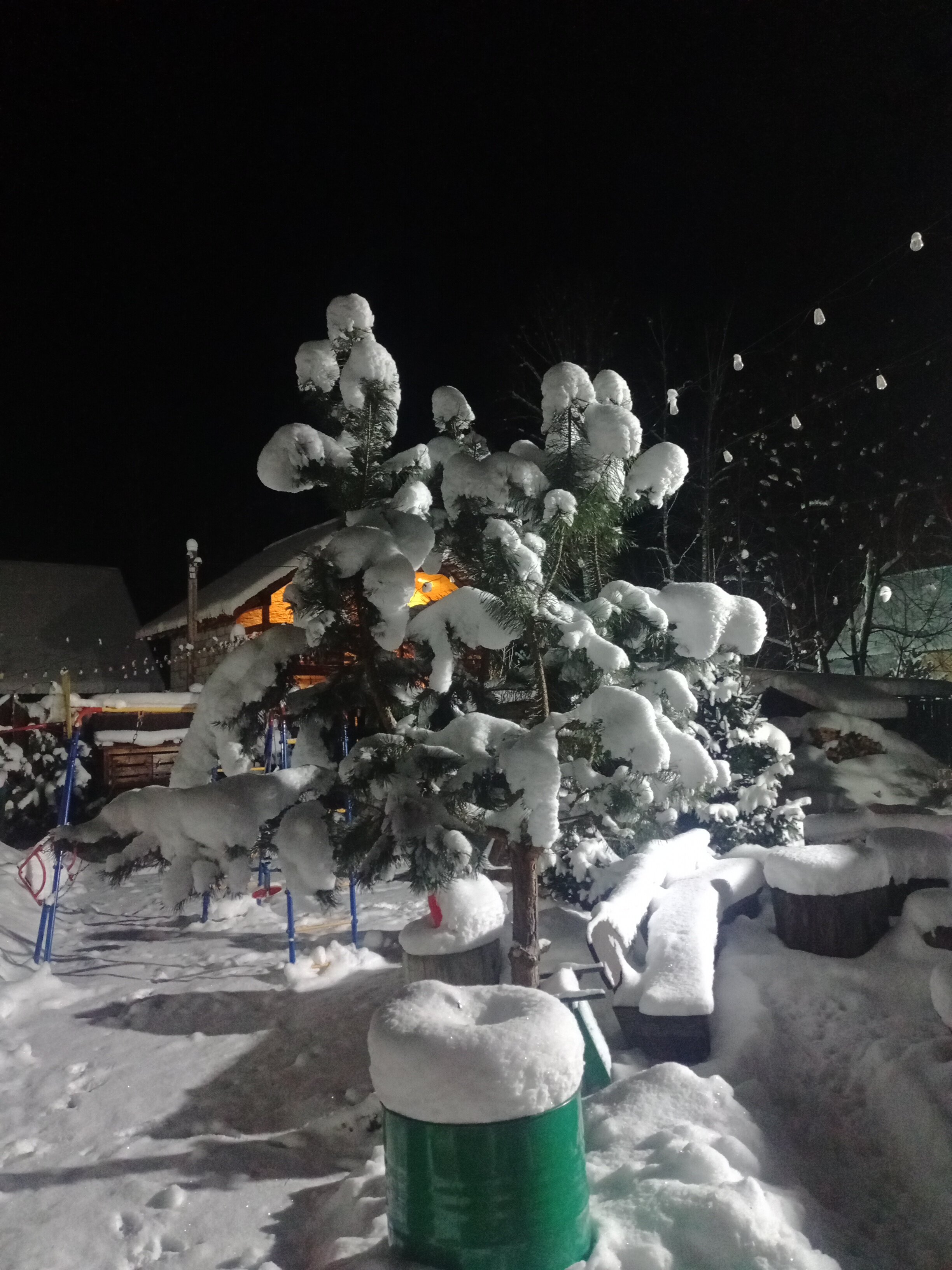 Фото Яшкин Дом