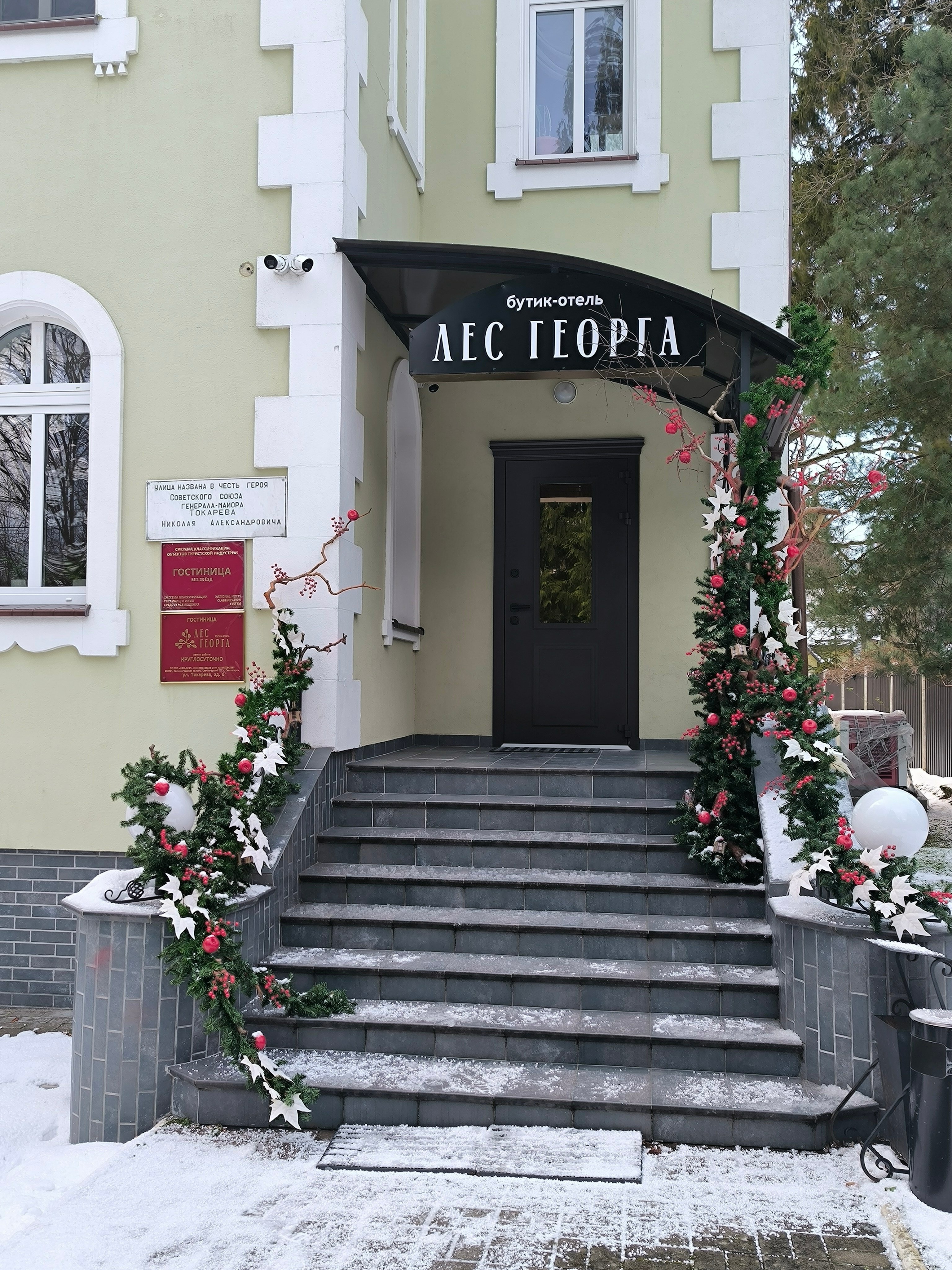 Фото Лес Георга