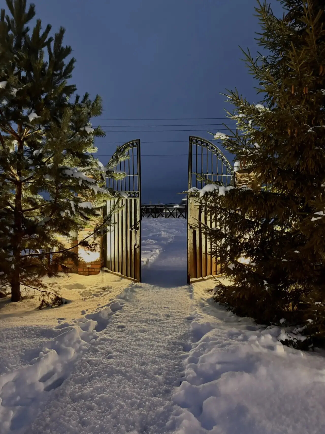 Фото Медведь