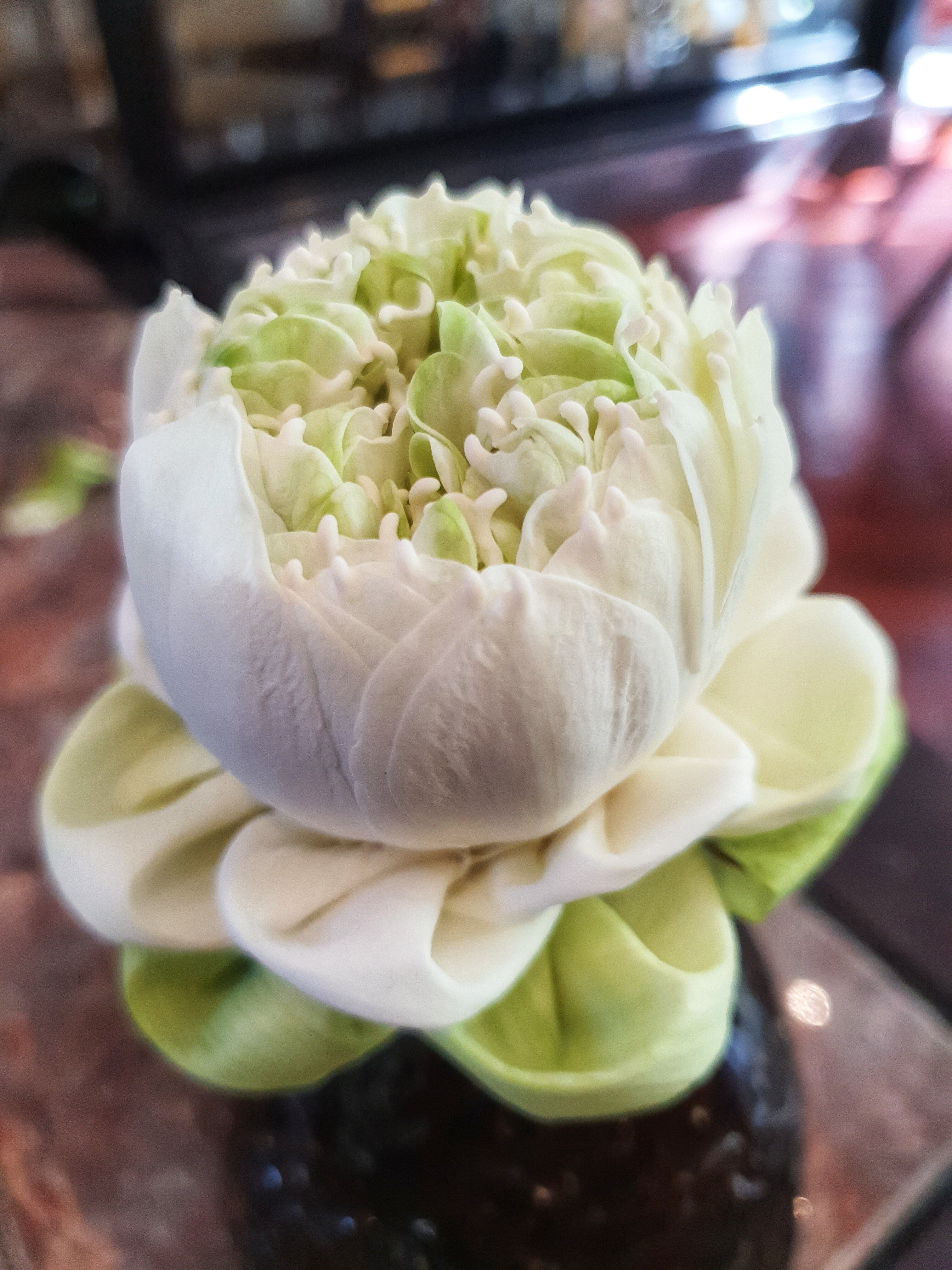 Фото Отель Vellita Siem Reap