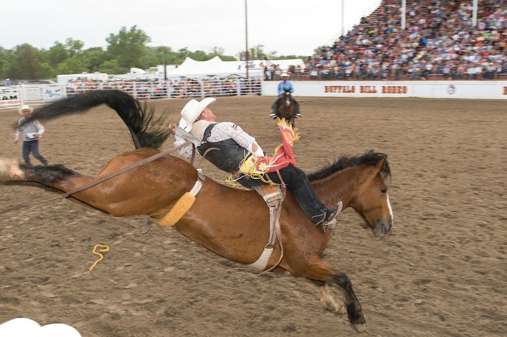 Фото Holiday Inn Express & Suites - North Platte, an Ihg Hotel