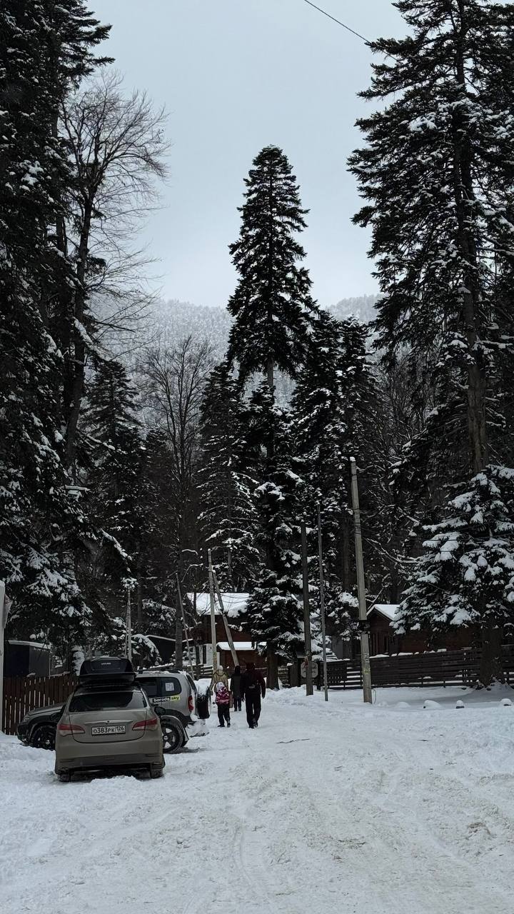 Фото Шарс