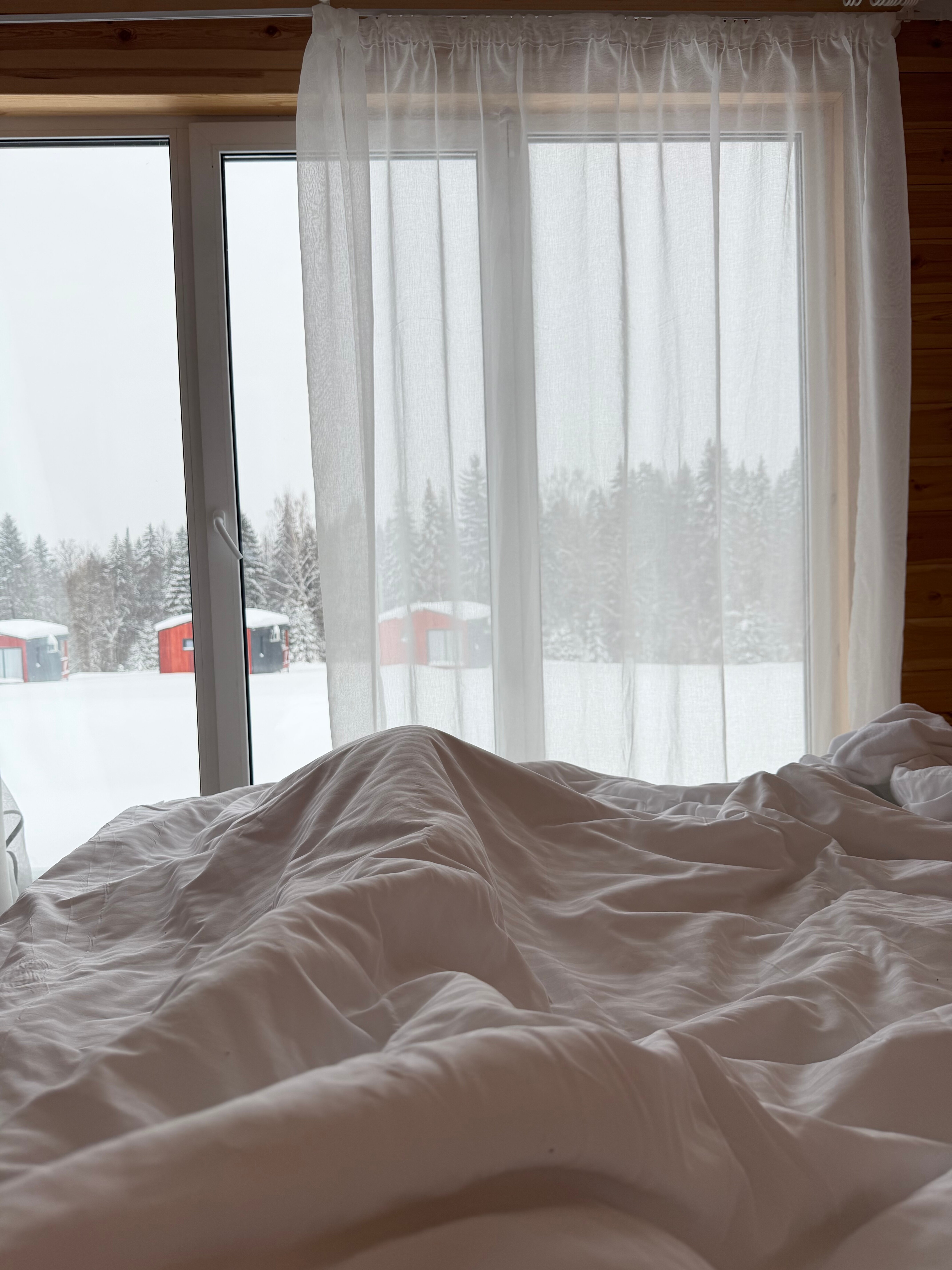 Фото Липовый цвет