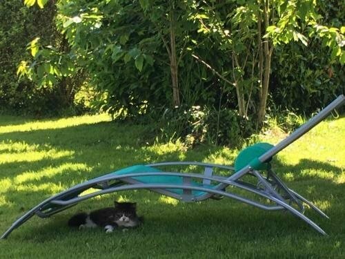 Гостиница Maison de Kersalomon в Кемпере