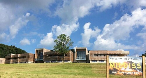 Гостиница Mildiss Hotel, Bw Signature Collection в Иссуаре