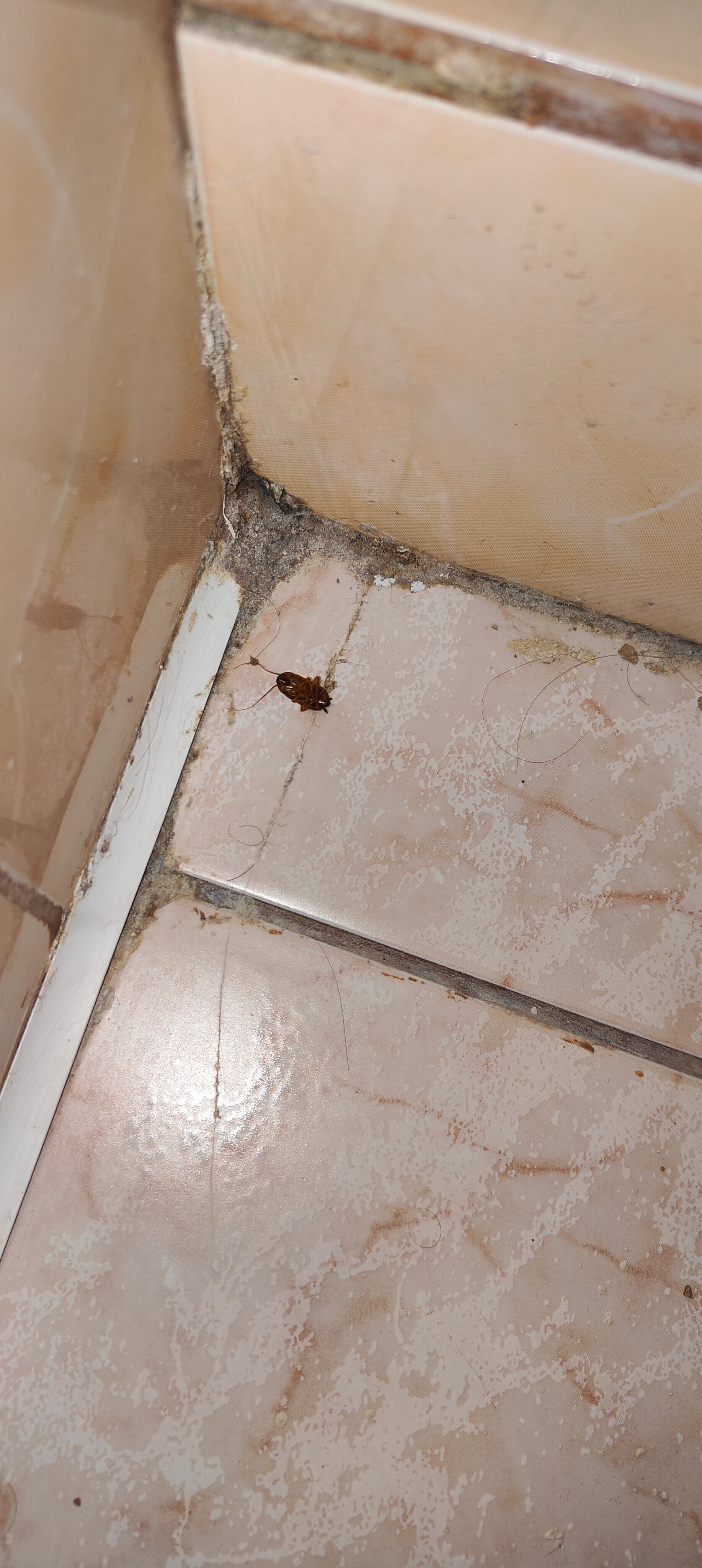 Фото Престиж