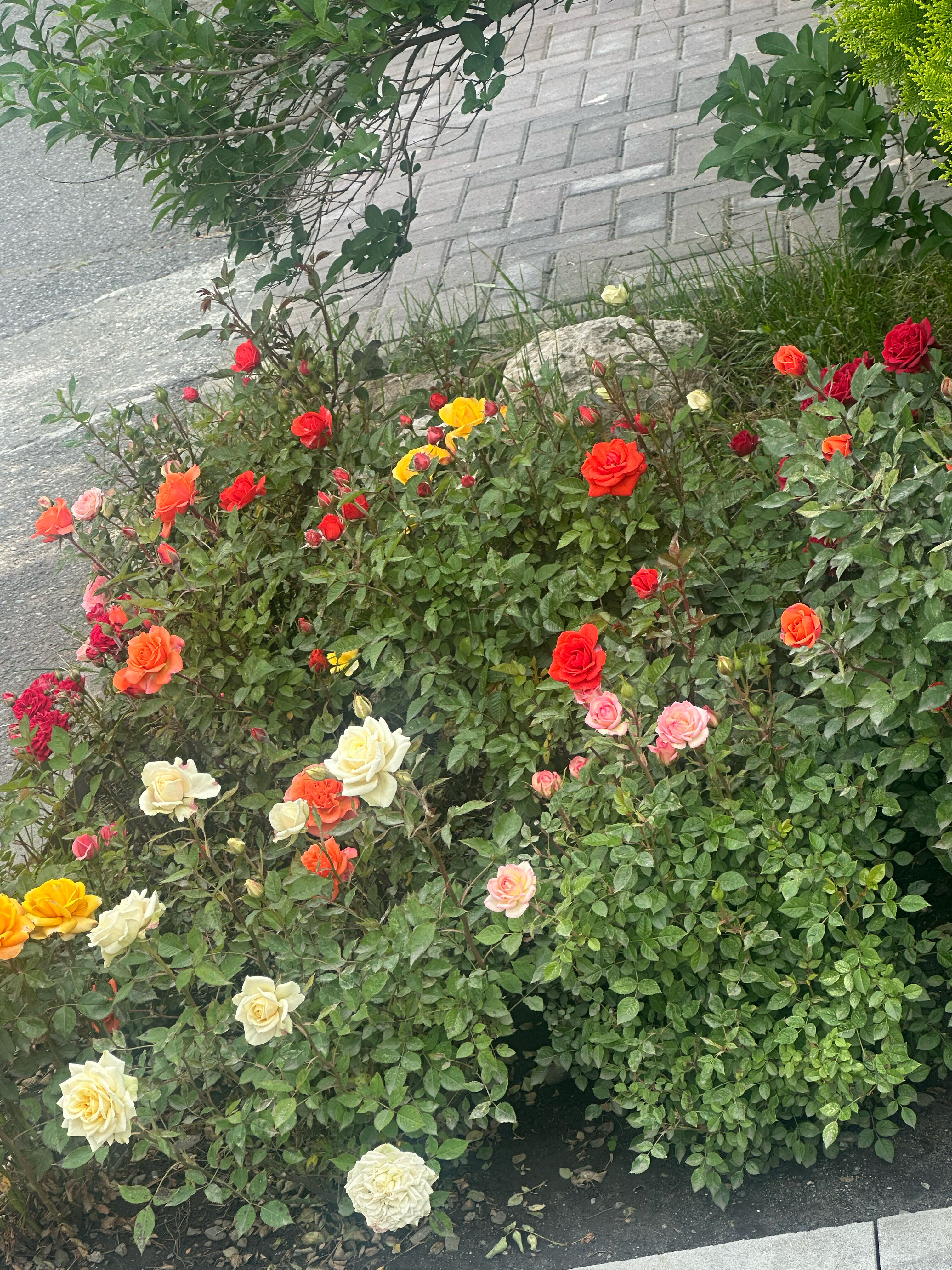 Фото Провинция