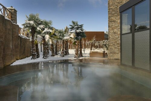 Гостиница Elite World Sapanca Convention & Wellness Resort в Арифие