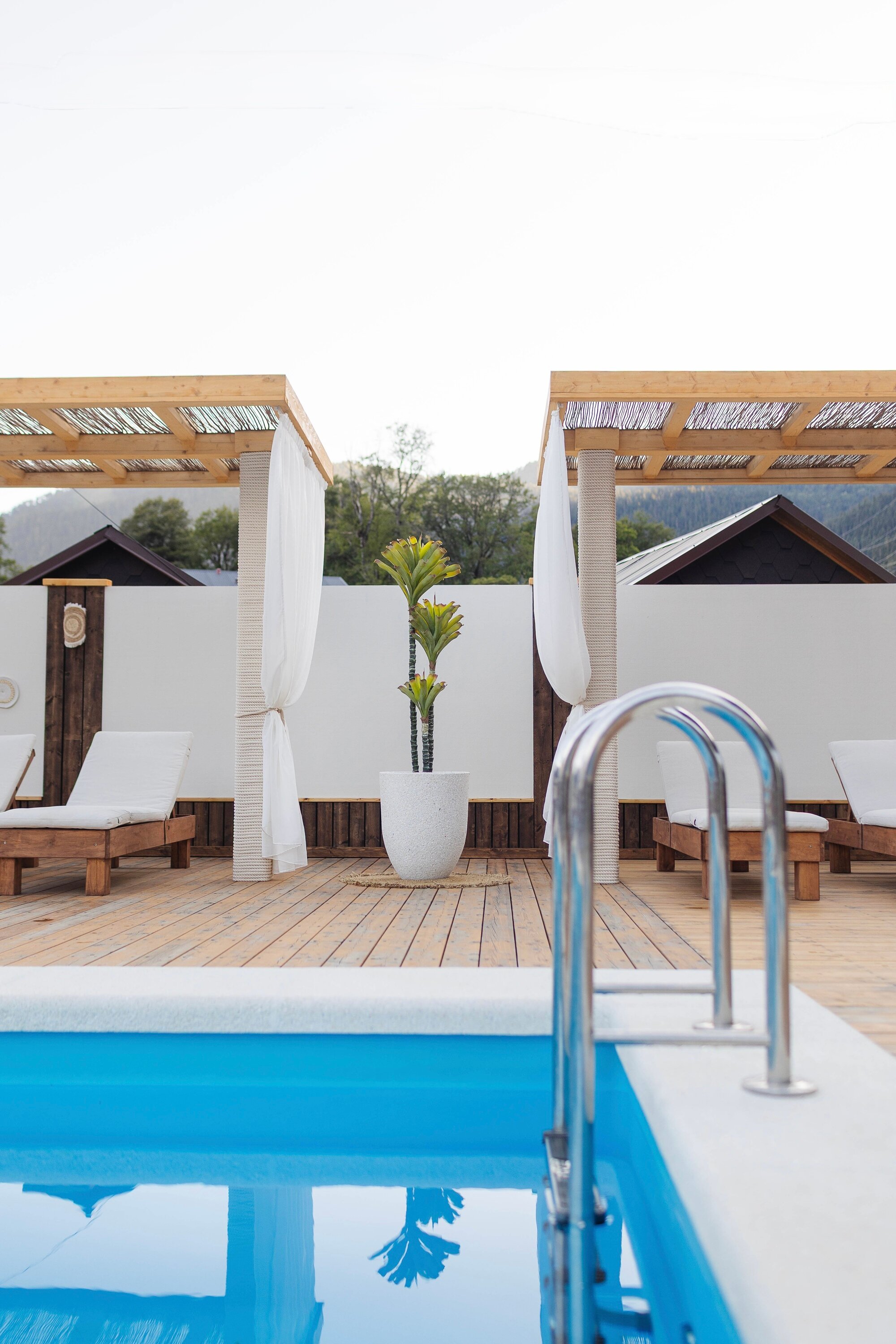 Фото Горная Роза