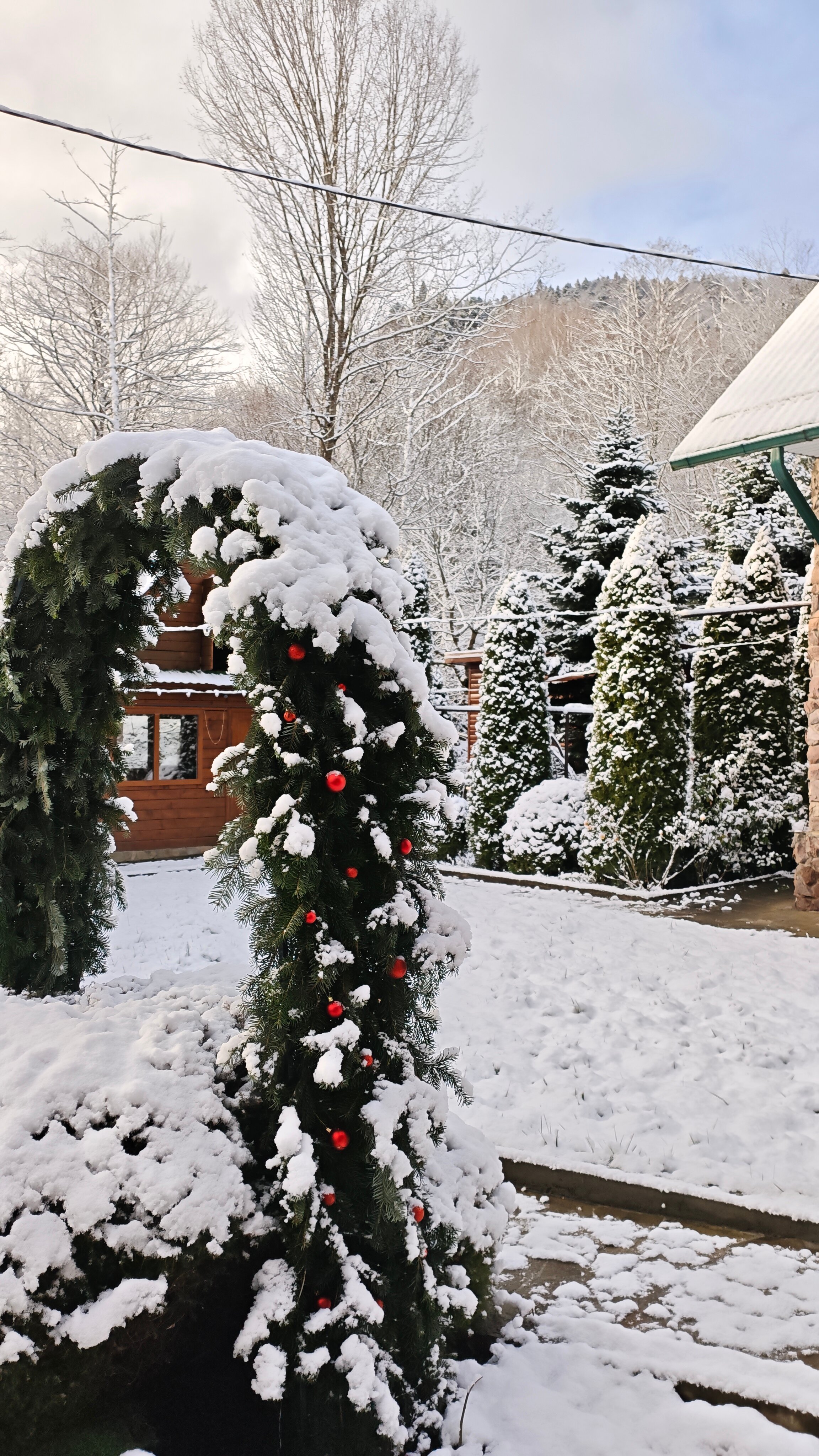 Фото Горный Воздух