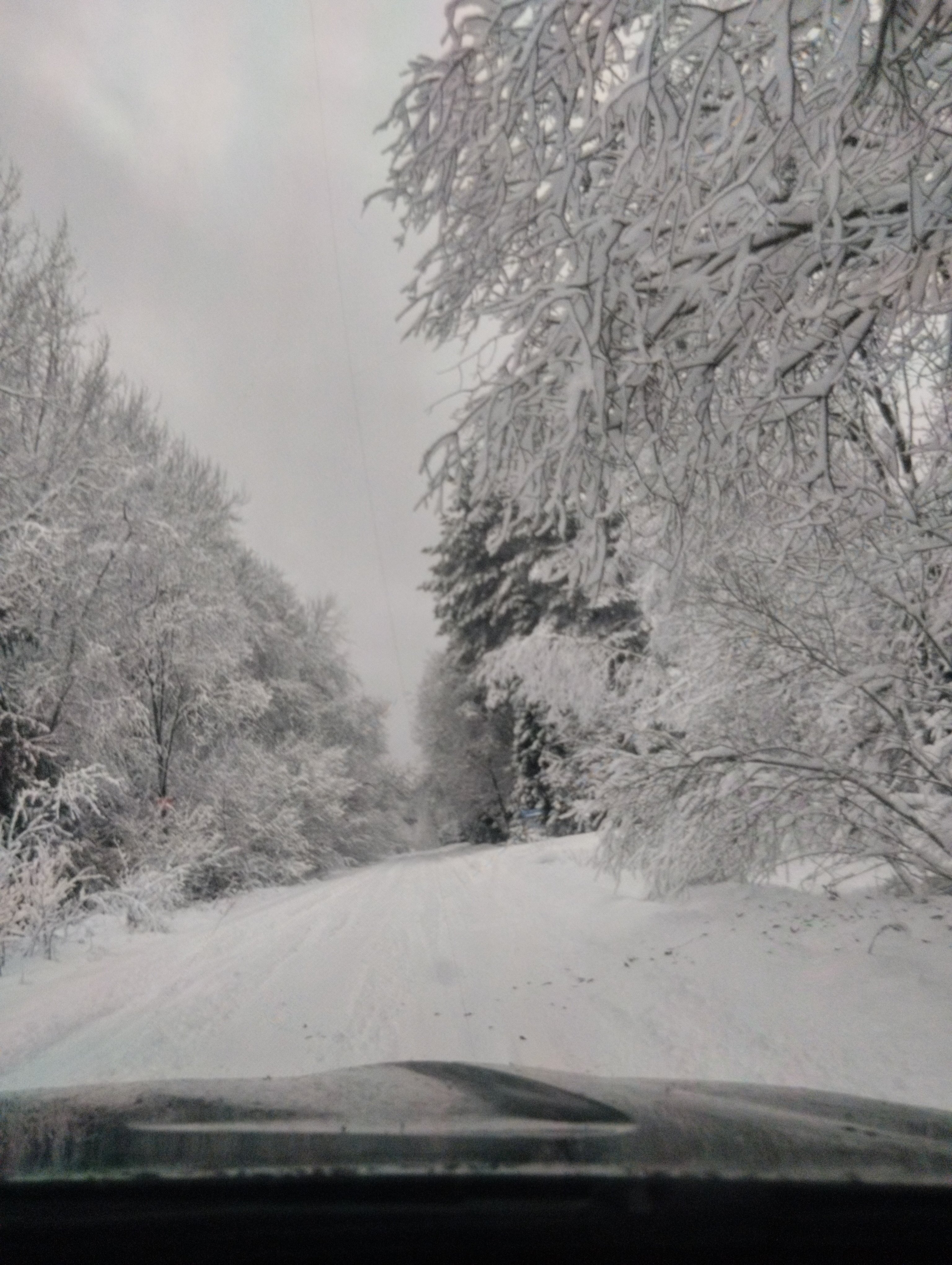 Фото Гнездо