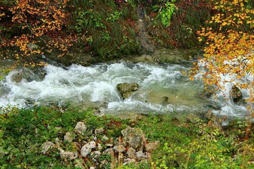 Гостиница Auberge des Chasseurs в Же
