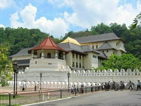 Гостиница Hotel Elephant Bay в Провинции Сабарагамува