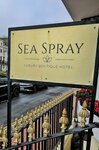 Sea Spray
