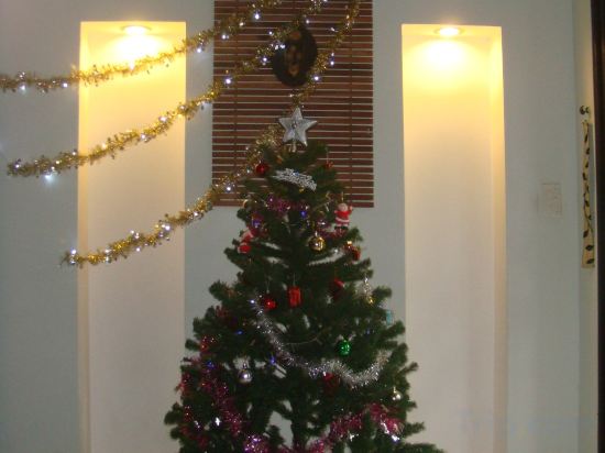 Фото Green Coco Homestay Hoi An