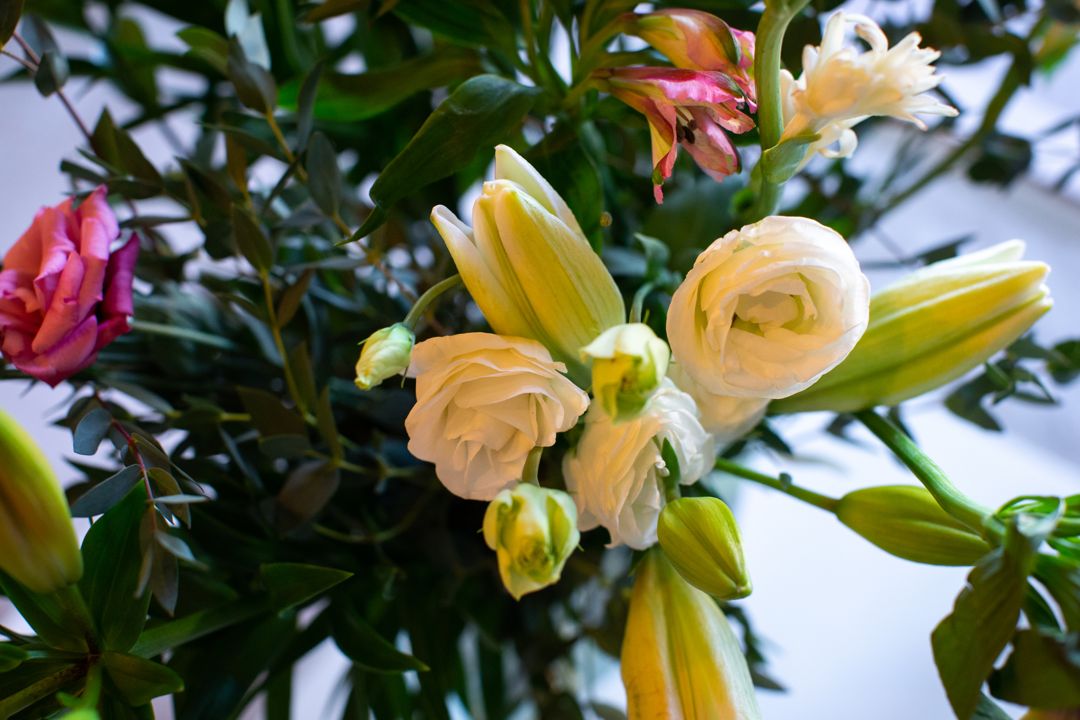 Фото El Patio de los Jazmines Boutique-House