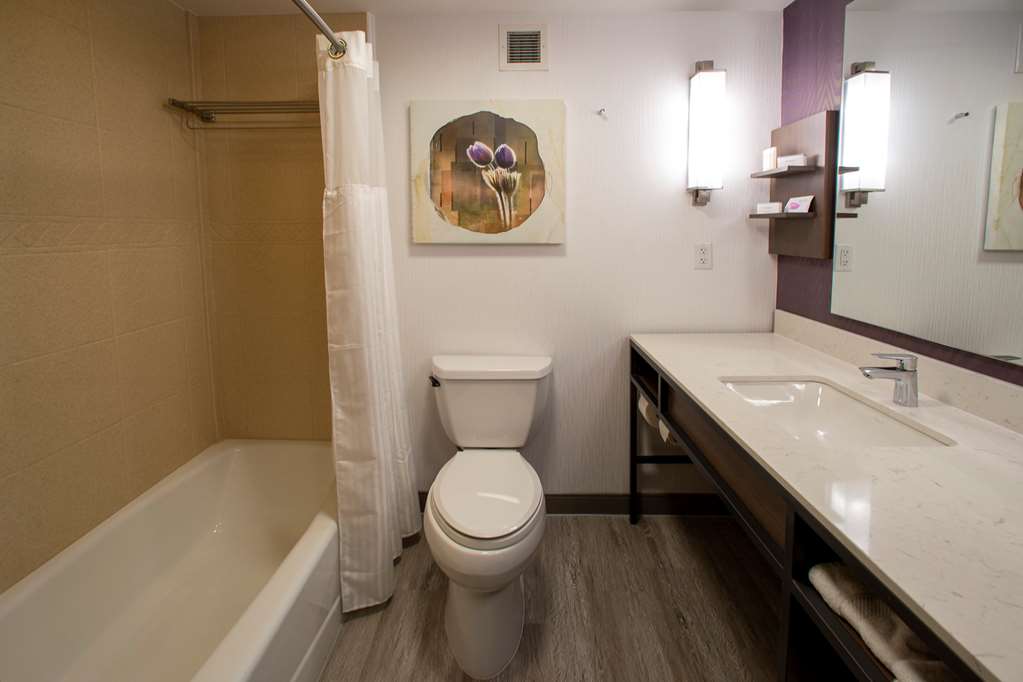 Фото Hilton Garden Inn Rapid City