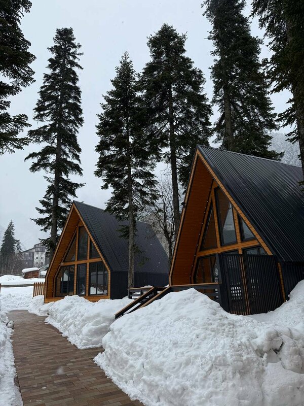 Место под соснами — фото 33