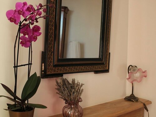 Гостиница Chez Juliette Maison Gîte в Пау