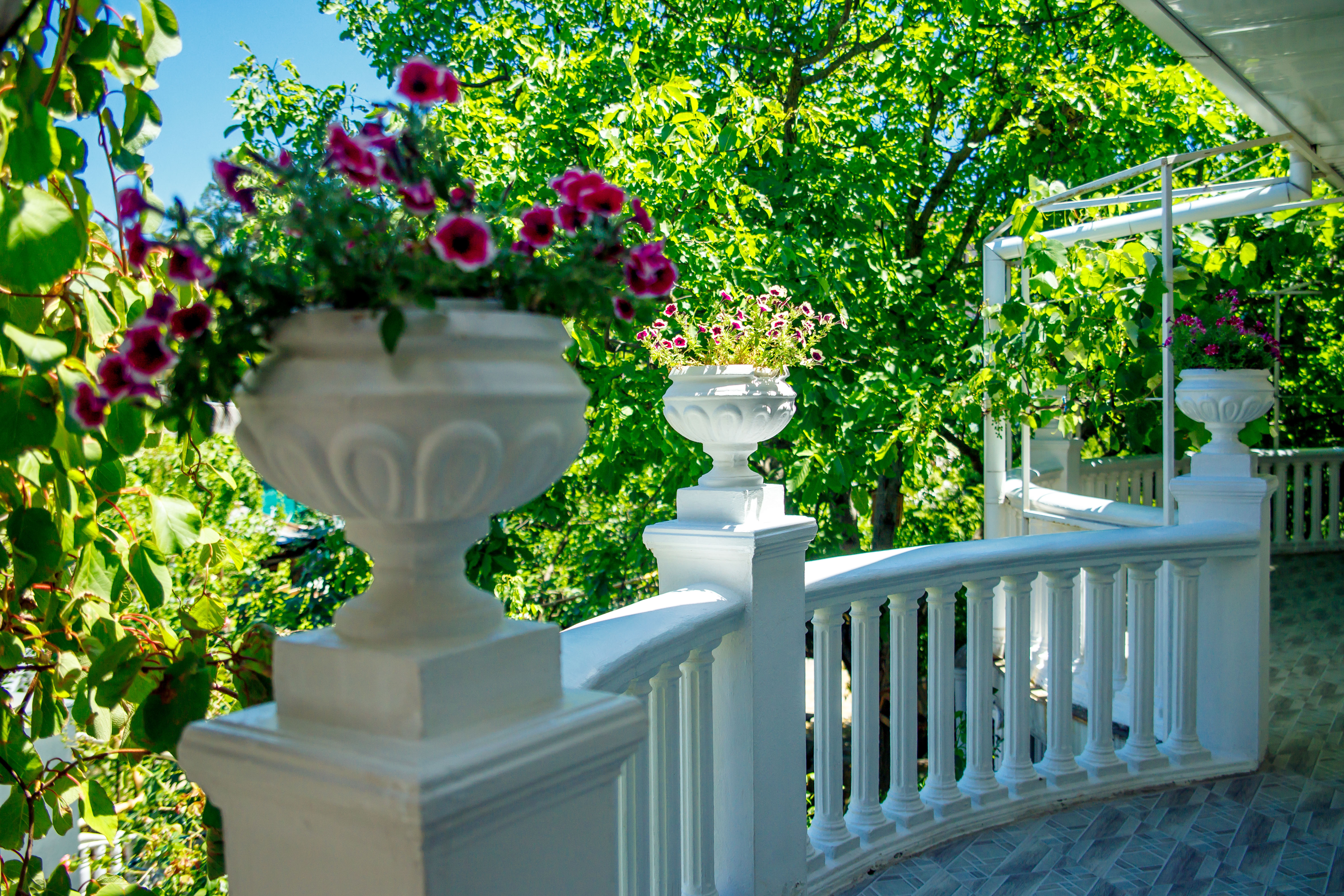 Фото Парфенон