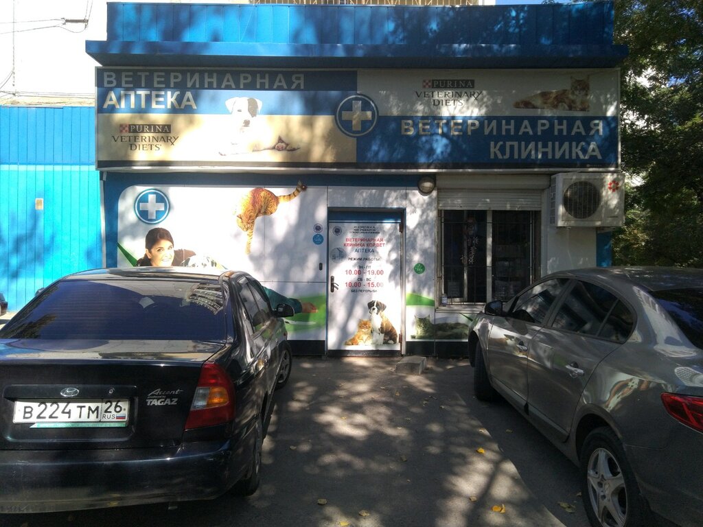 Клиника корвет волгоград Клиника корвет волгоград