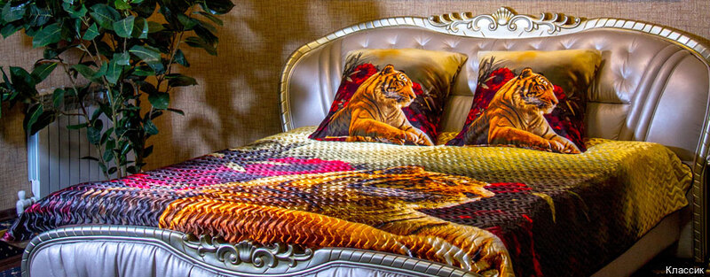 Фото Классик