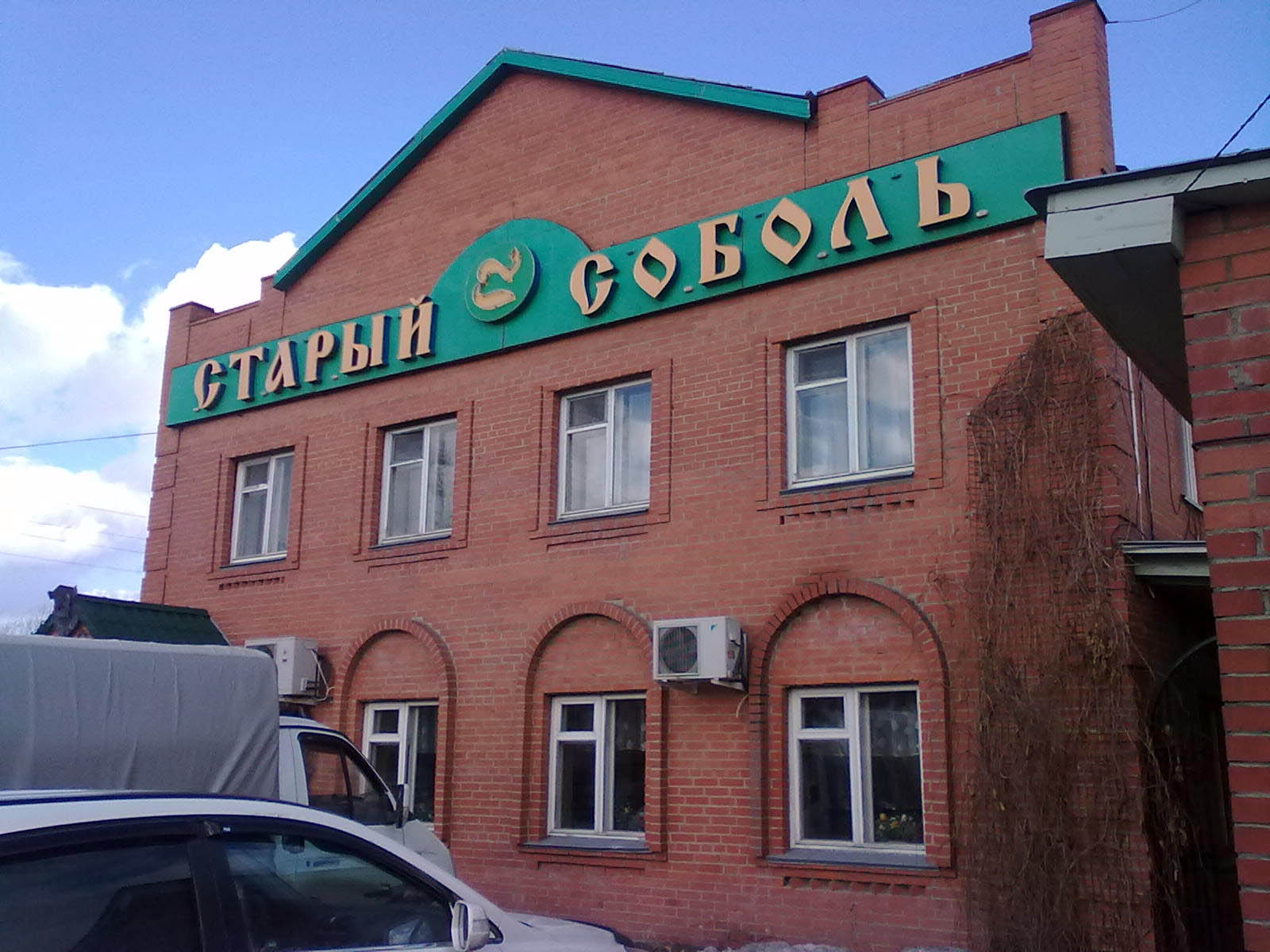 Фото Старый соболь