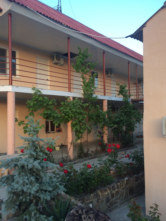 Фото Гульсана