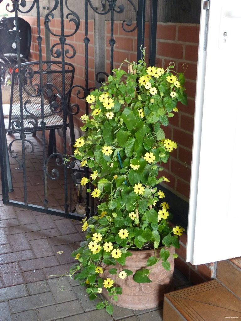 Фото Am Hehlentor