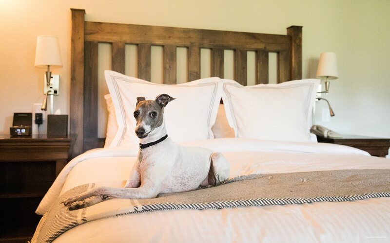 Фото Harvest Inn