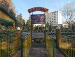Karting (Tashkent, Dream Park madaniyat va istirohat bogʻi), karting