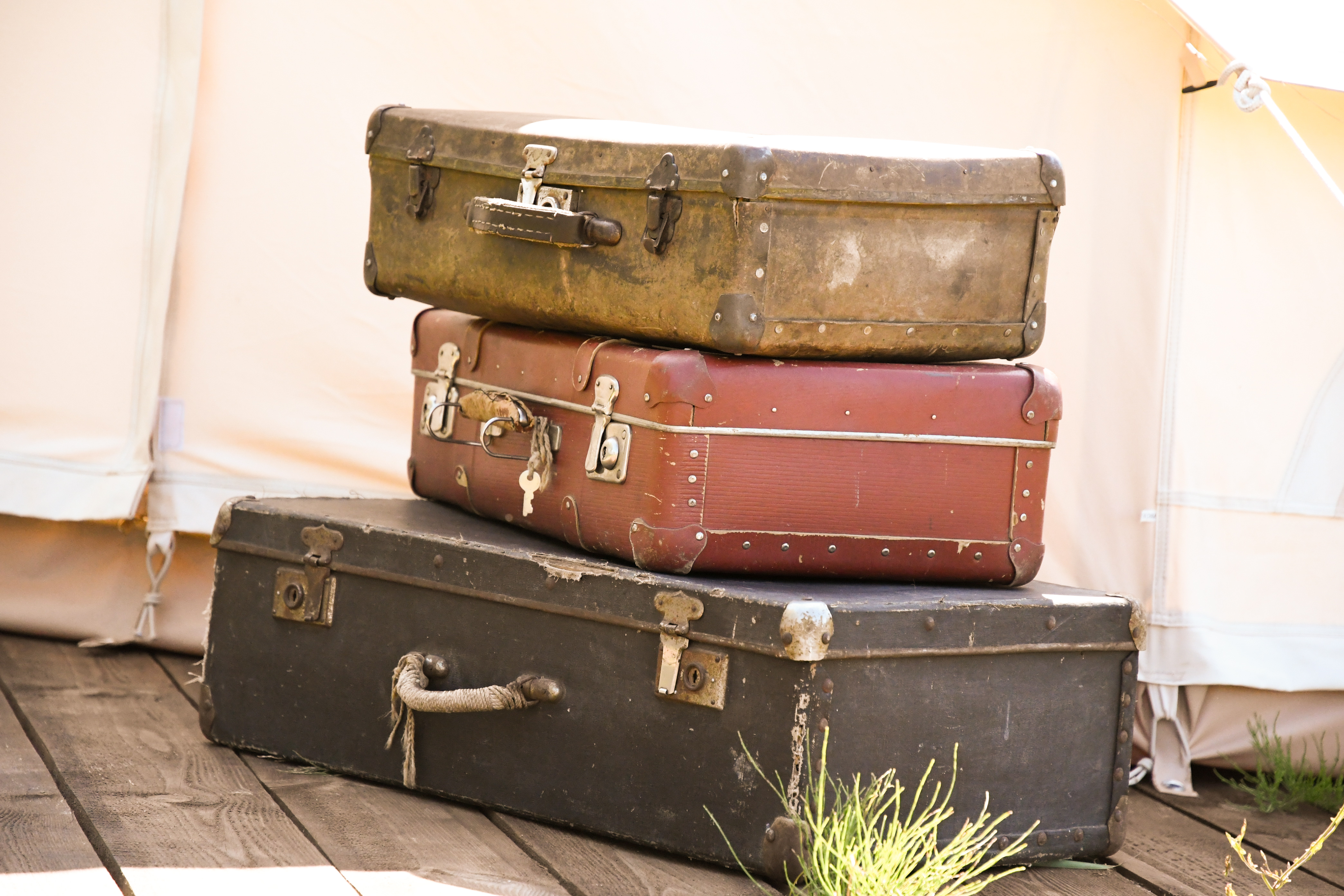 Фото Familyglamp Куликово поле