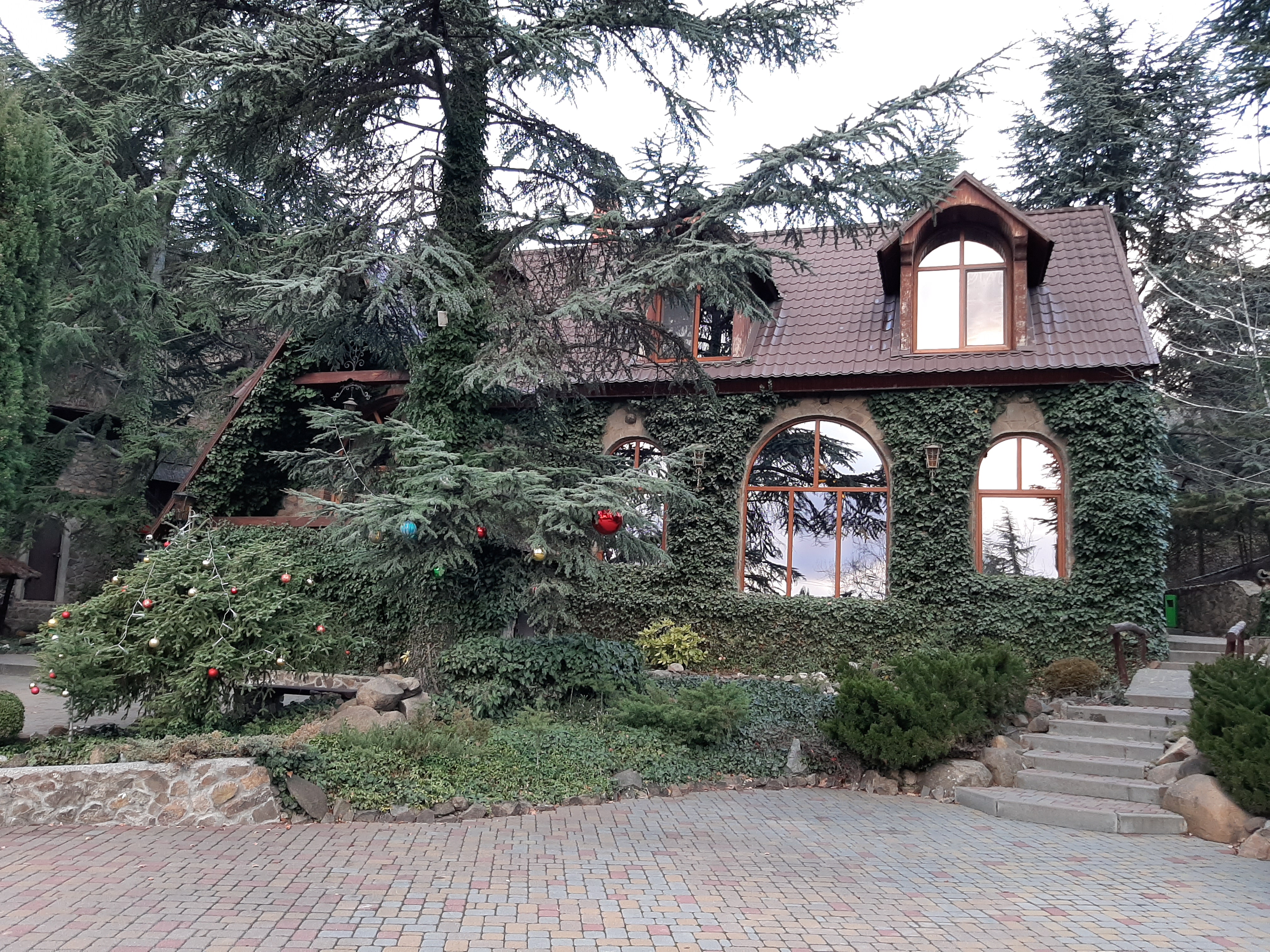 Фото Лесной