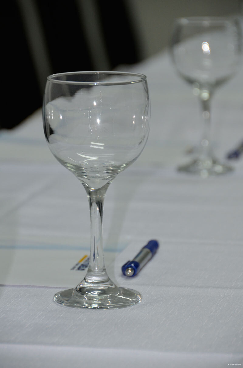 Фото Arituba Park Hotel