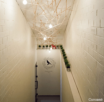 Фото Соловей