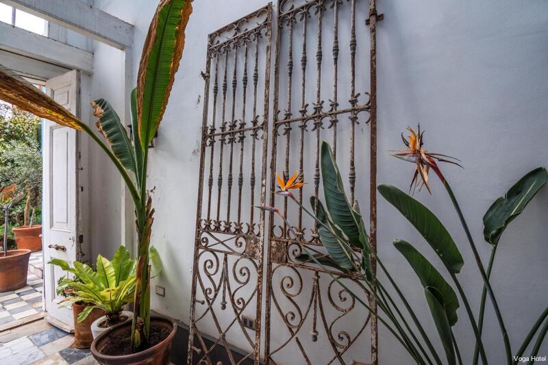 Фото New Voga Guesthouse