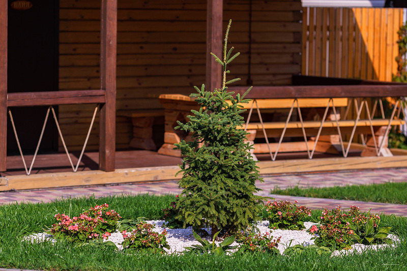 Фото Суздальский хутор