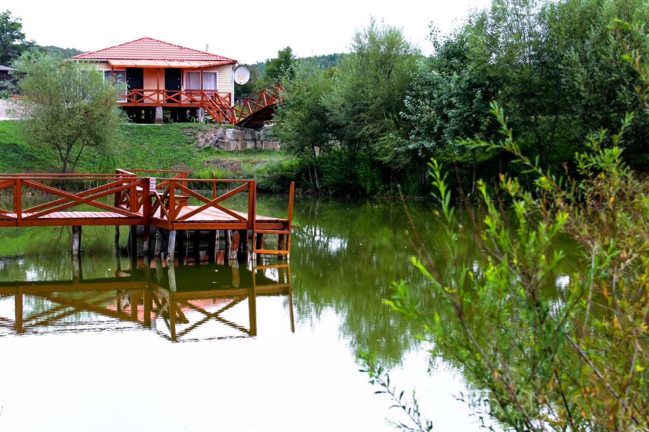 Фото Светлячок